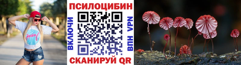 наркошоп  Баймак  Псилоцибиновые грибы MAGIC MUSHROOMS 